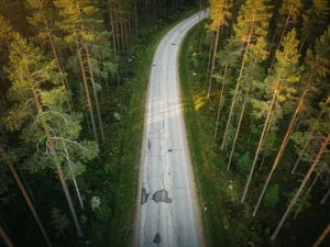 Kapea soratien kiemurtelee tiheän mäntymetsän läpi, kulunut asfaltti näyttää halkeamia ja kuoppia, kultainen auringonvalo siivilöityy latvuston läpi