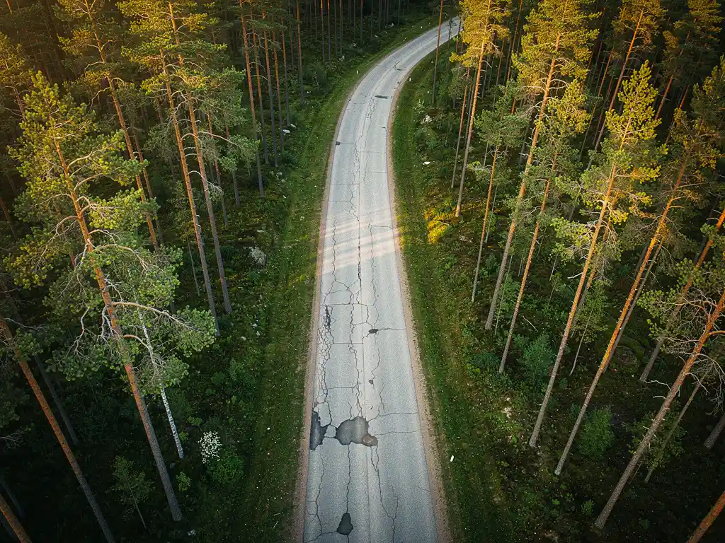 Kapea soratien kiemurtelee tiheän mäntymetsän läpi, kulunut asfaltti näyttää halkeamia ja kuoppia, kultainen auringonvalo siivilöityy latvuston läpi